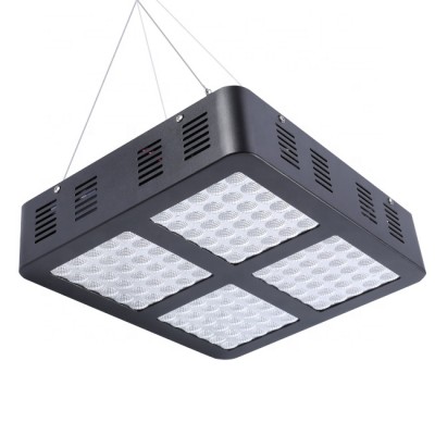 On Sale Full Spectrum 1000w 600w 300w Led Grow Light for Indoor Gardening and Hydroponics